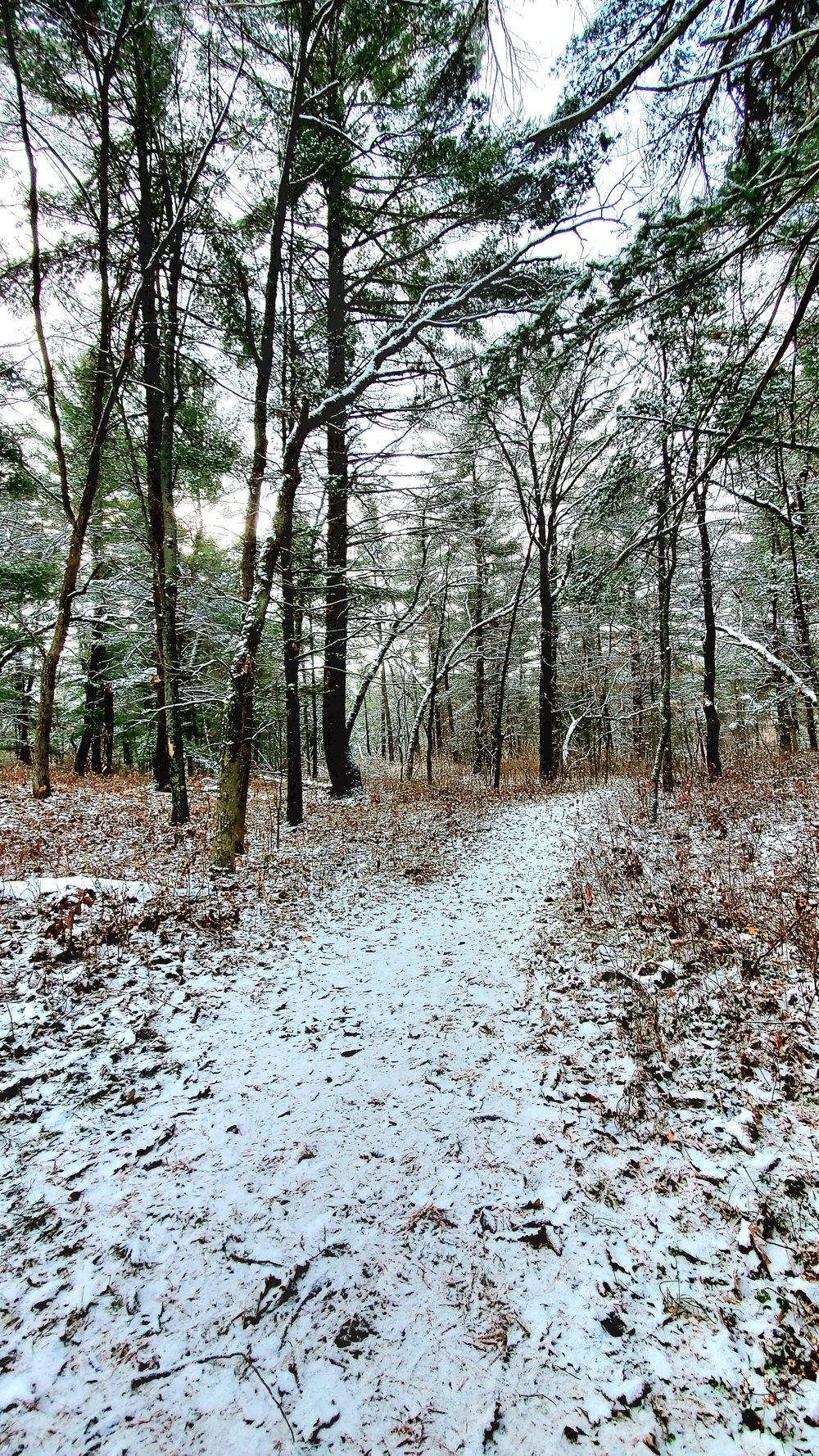 Fort McCoy's Pine View Recreation Area