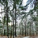 Fort McCoy's Pine View Recreation Area