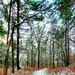 Fort McCoy's Pine View Recreation Area