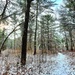 Fort McCoy's Pine View Recreation Area