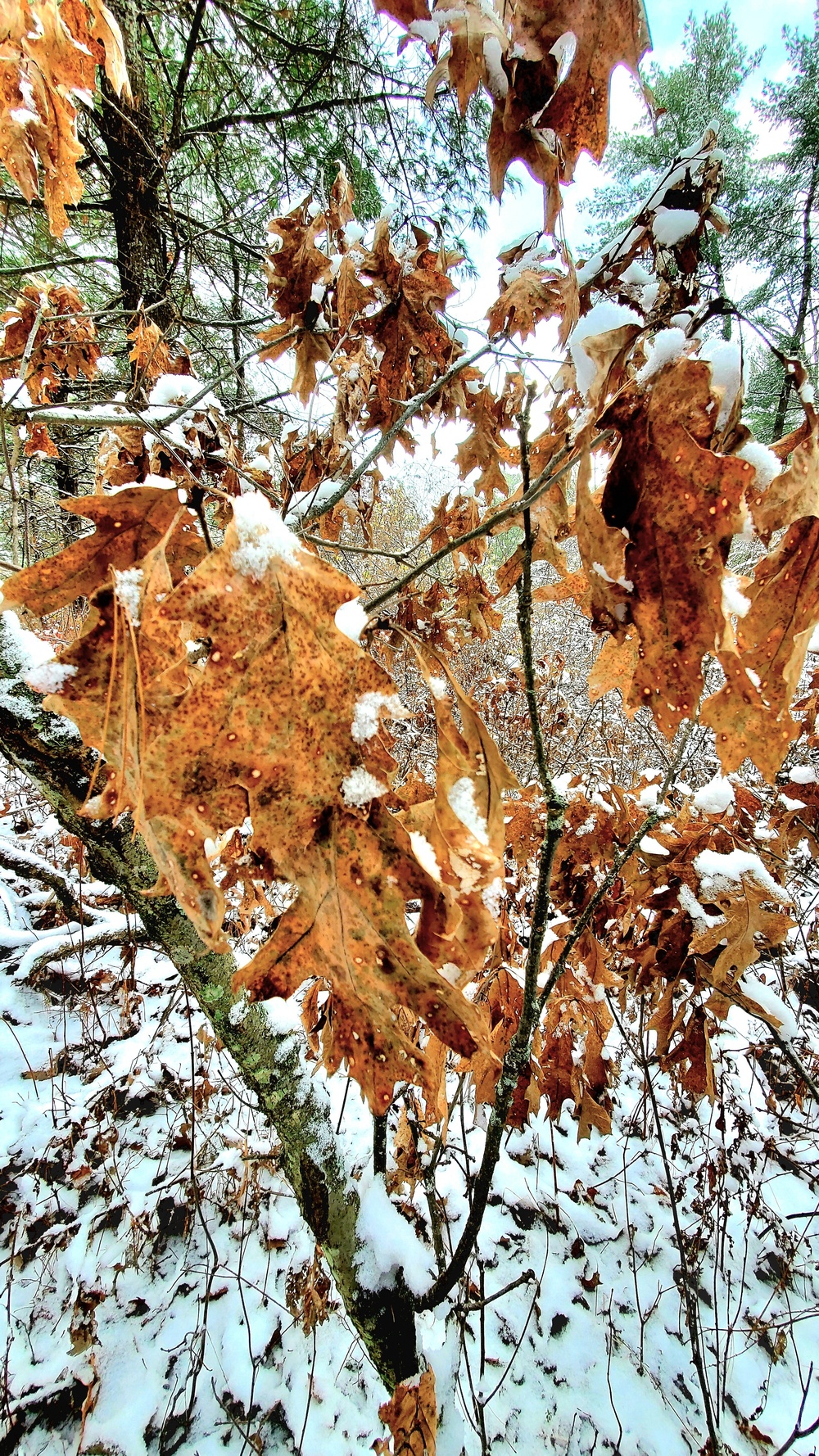 Fort McCoy's Pine View Recreation Area