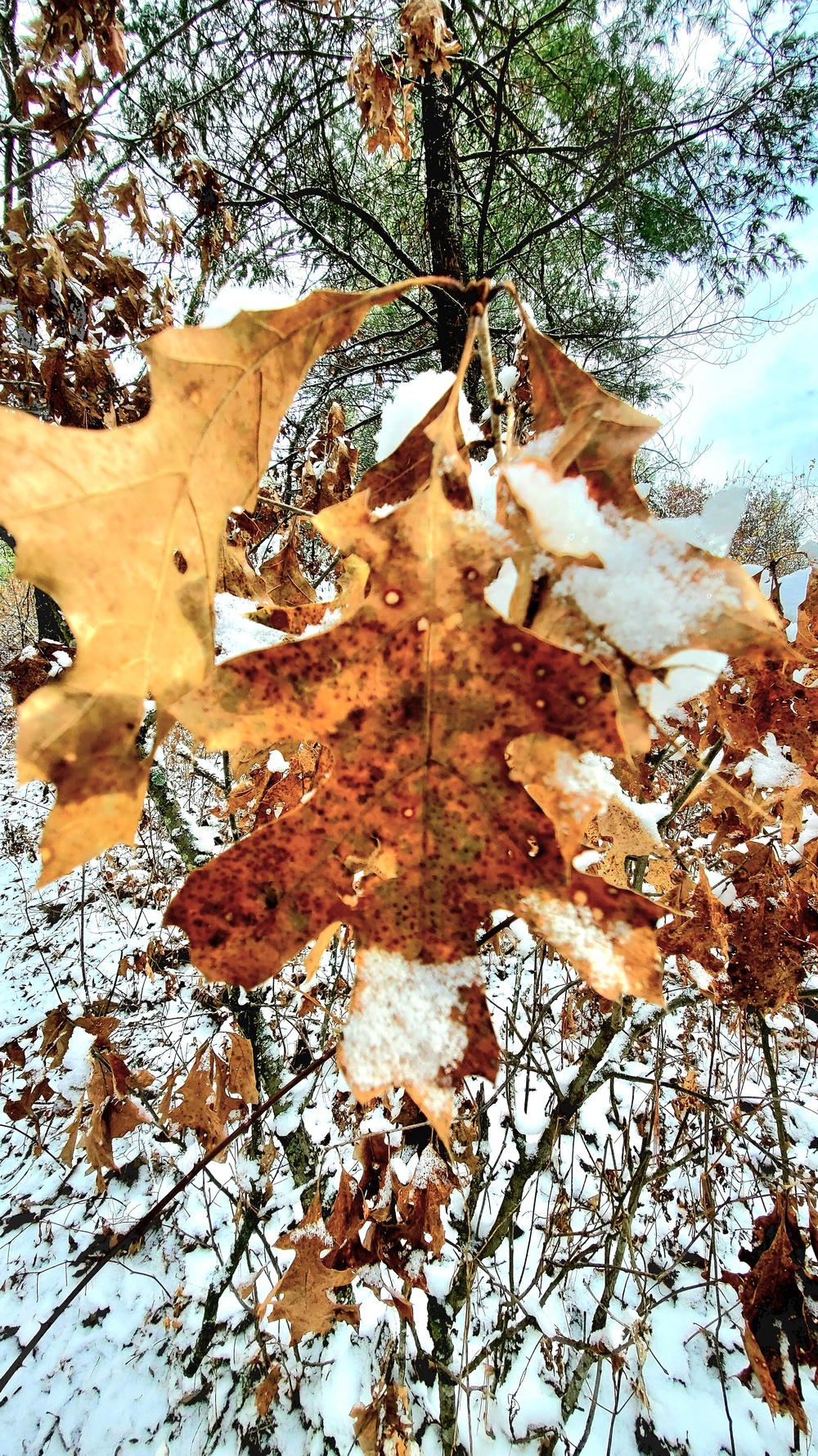 Fort McCoy's Pine View Recreation Area