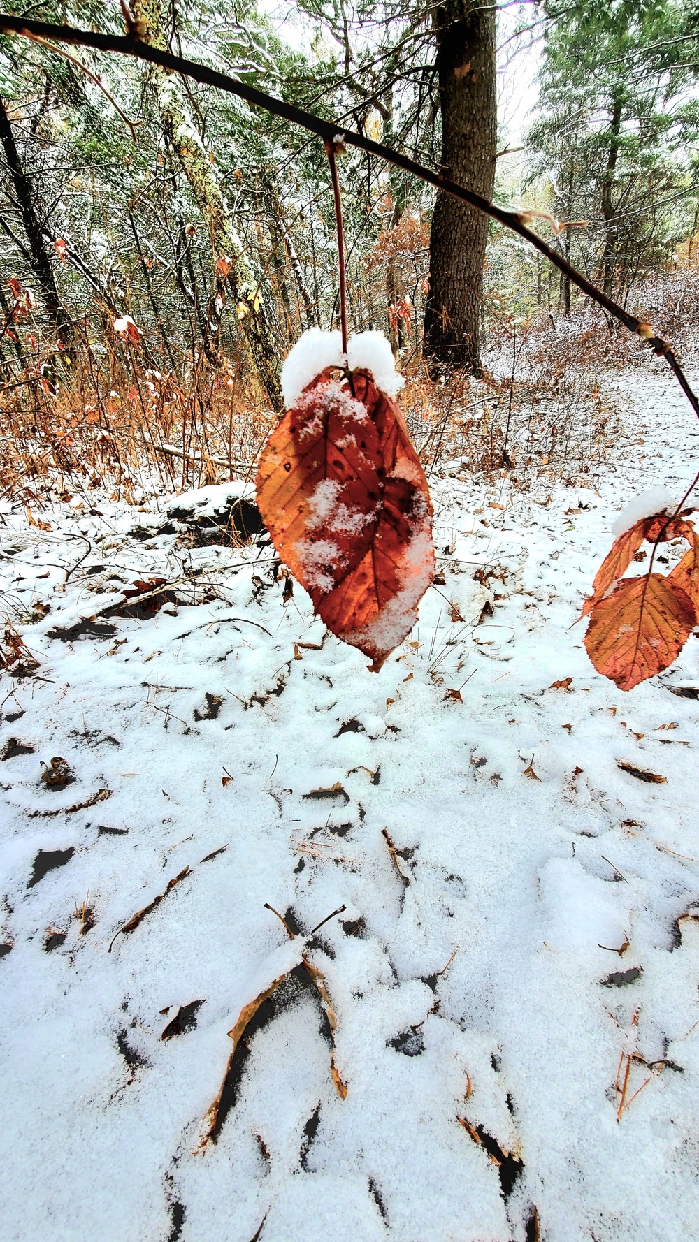 Fort McCoy's Pine View Recreation Area