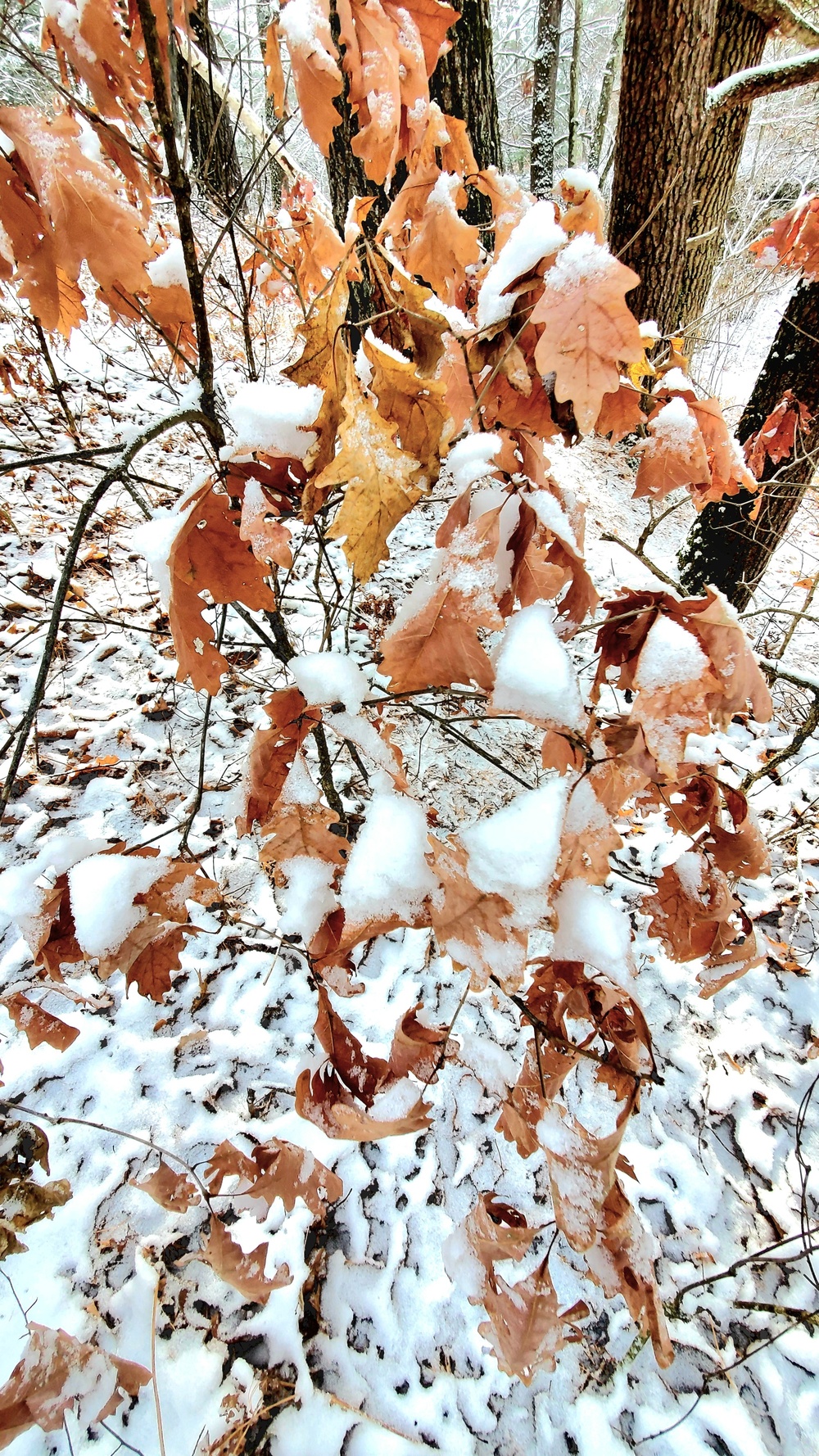 Fort McCoy's Pine View Recreation Area