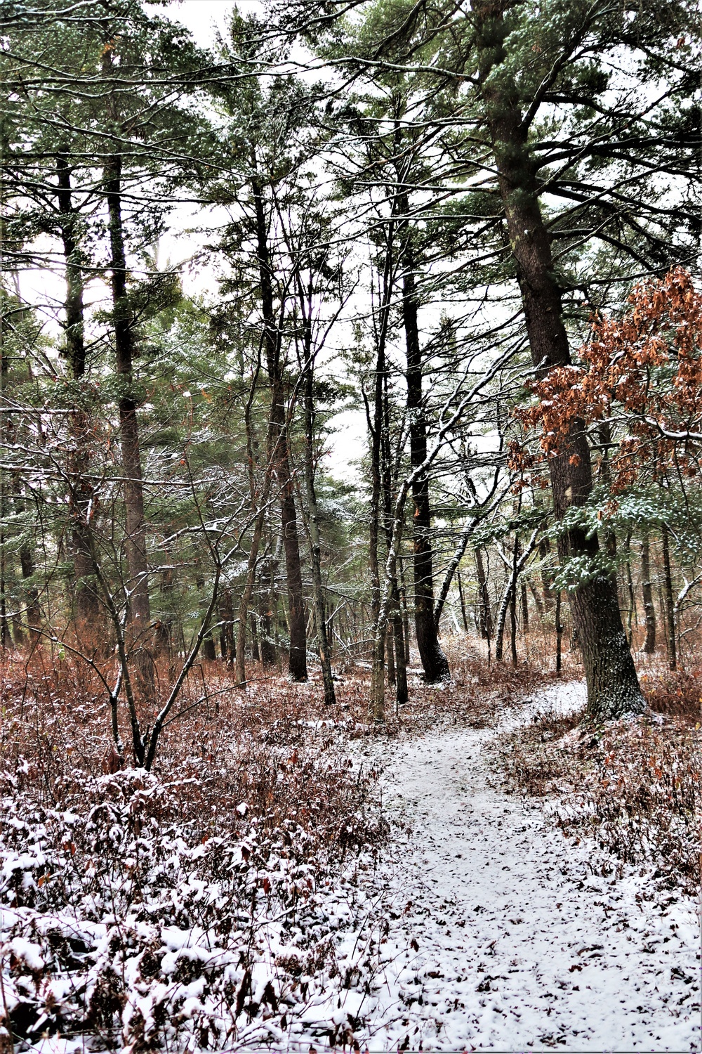 Fort McCoy's Pine View Recreation Area