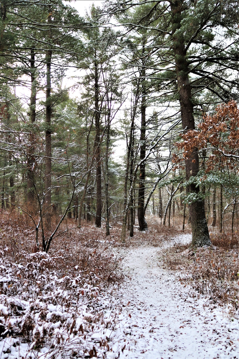 Fort McCoy's Pine View Recreation Area