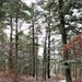 Fort McCoy's Pine View Recreation Area