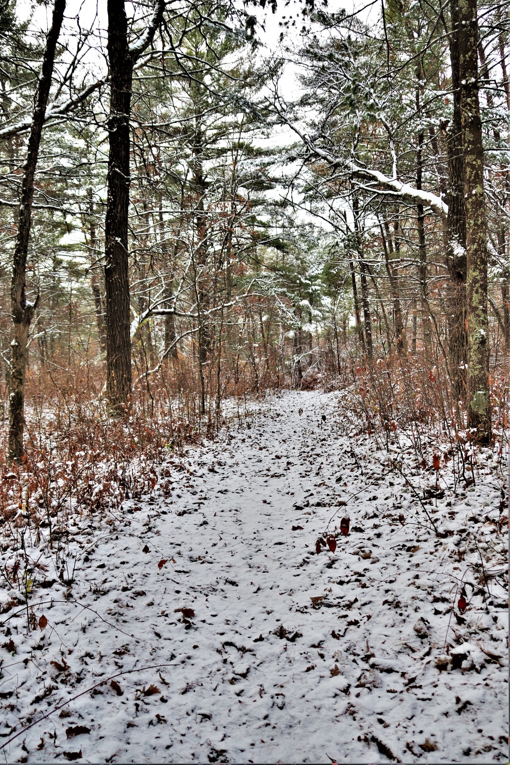 Fort McCoy's Pine View Recreation Area