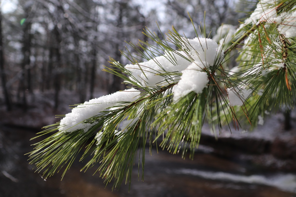 Fort McCoy's Pine View Recreation Area