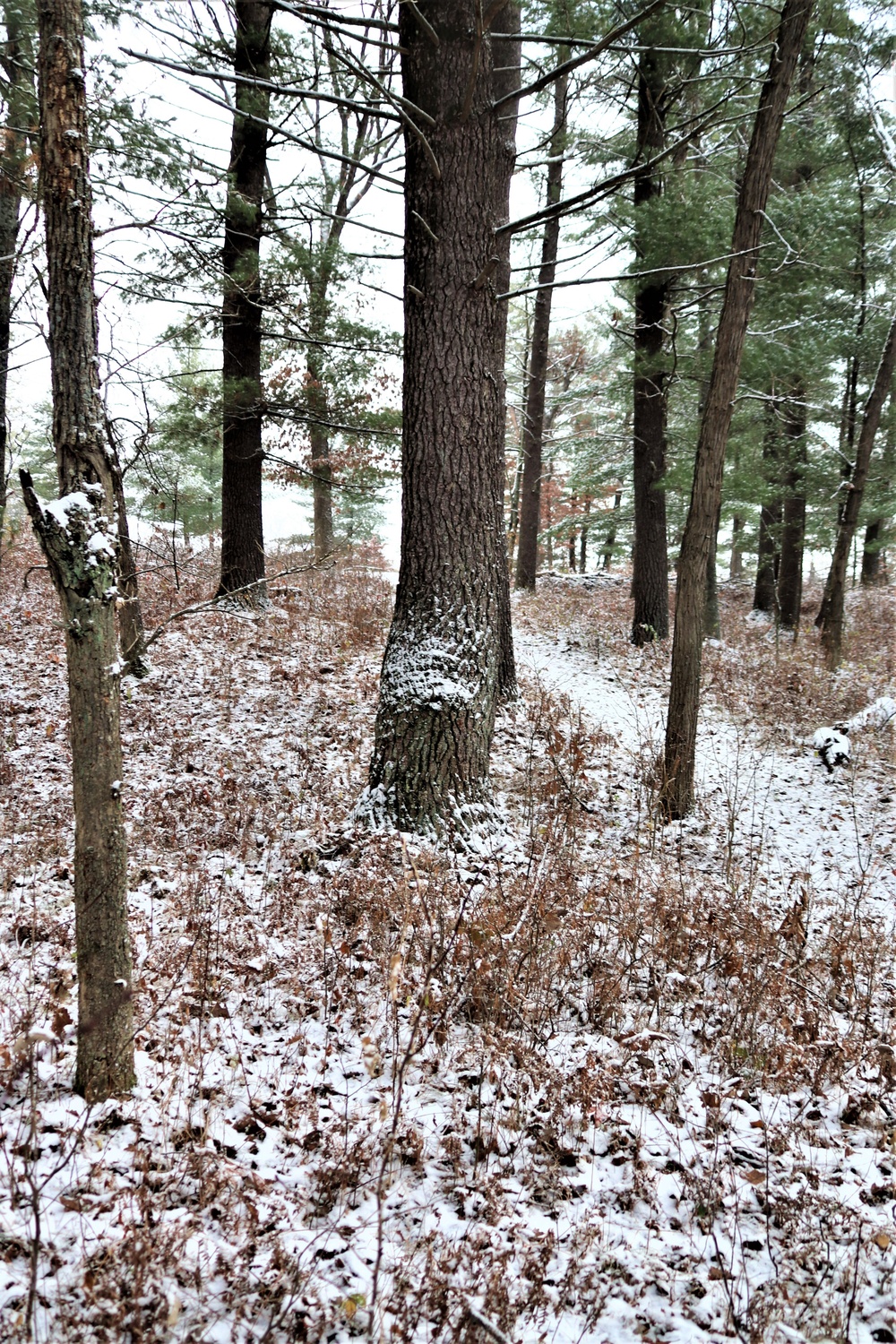 Fort McCoy's Pine View Recreation Area