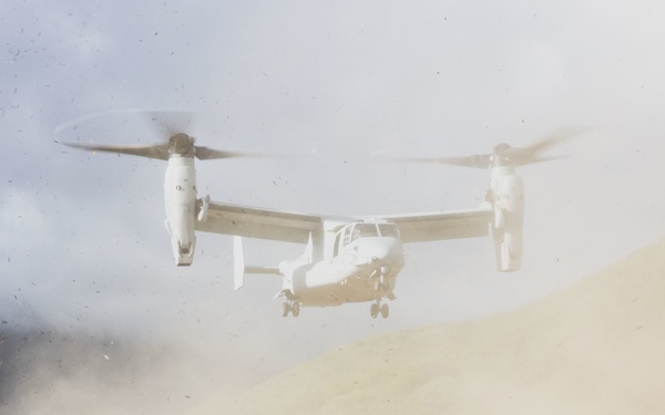 3d LCT conducts Air Assault Training