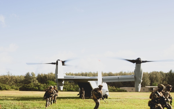 3d LCT conducts Air Assault Training