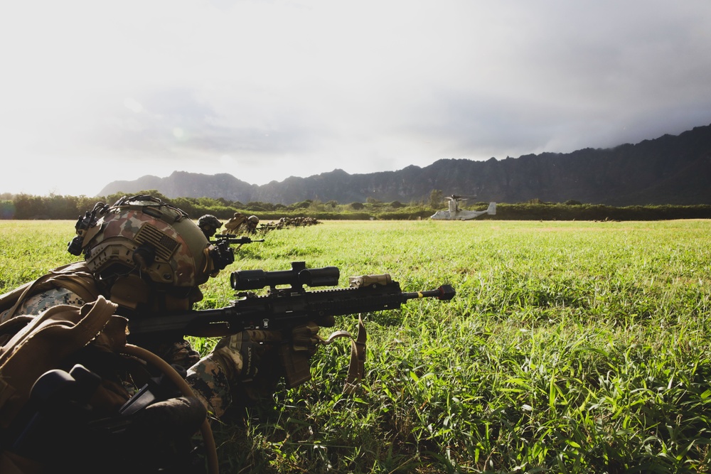 3d LCT conducts Air Assault Training