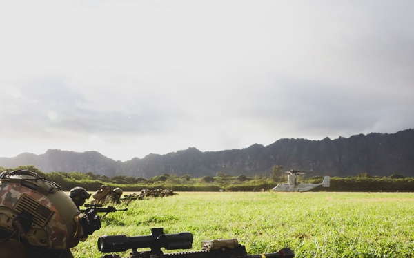 3d LCT conducts Air Assault Training