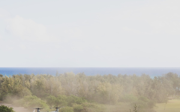 3d LCT conducts Air Assault Training