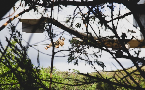 3d LCT conducts Air Assault Training