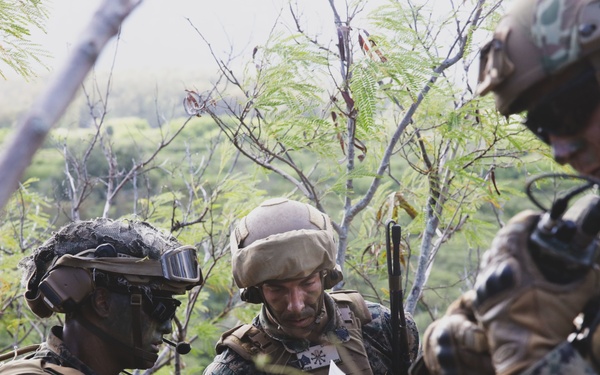 3d LCT conducts Air Assault Training