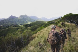3d LCT conducts Air Assault Training
