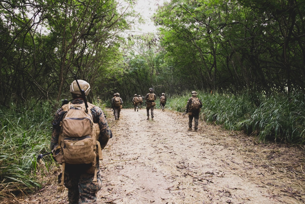 3d LCT conducts Air Assault Training