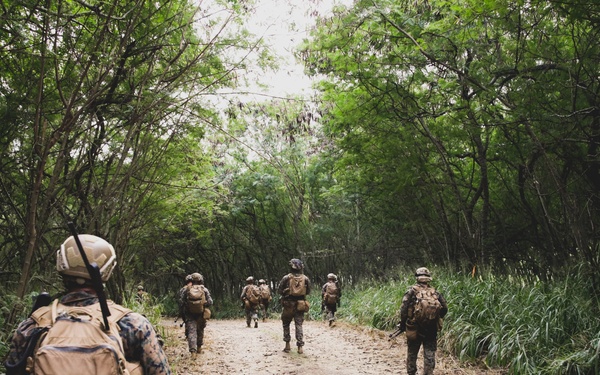 3d LCT conducts Air Assault Training