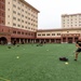 1st Signal Brigade Soldiers doing ACFT