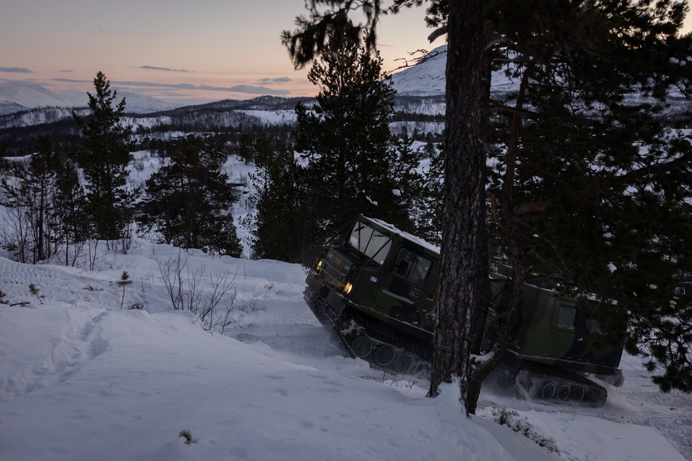 Bandvagn 206 Arctic Terrain