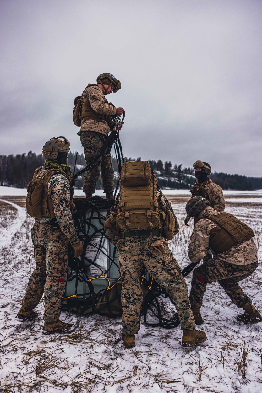 U.S. Marines with Combat Logistics 6 Conduct an Helicopter Lift with Finnish NH90 Aircraft
