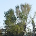 Streets Remain Stacked With Debris Following Hurricane Ian