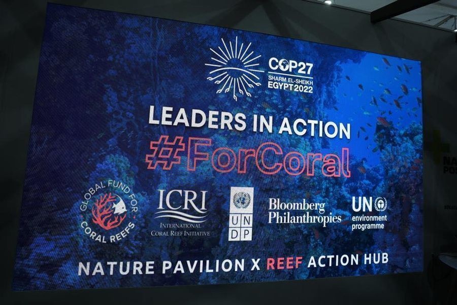 USAID announced the $15 million Red Sea Initiative at COP27 in Sharm El Sheikh, Egypt, in November 2022