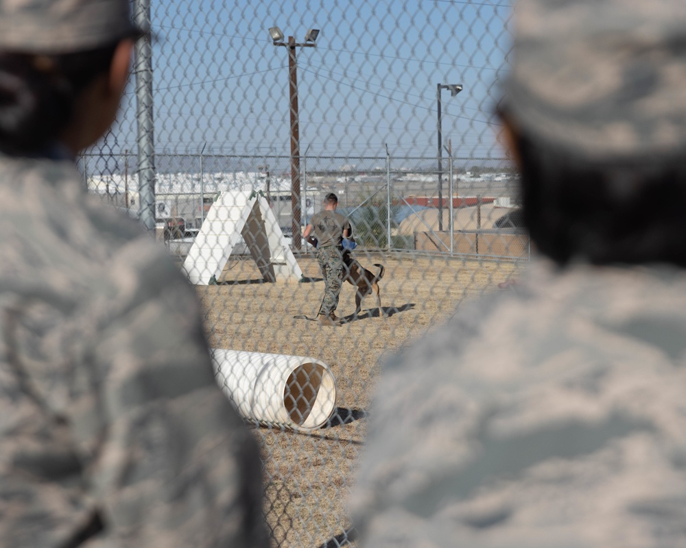 Basha High School Air Force JROTC visits MCAS Yuma