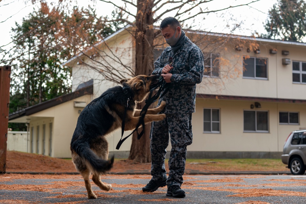 Bilateral MWD training