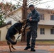 Bilateral MWD training