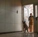 Bilateral MWD training