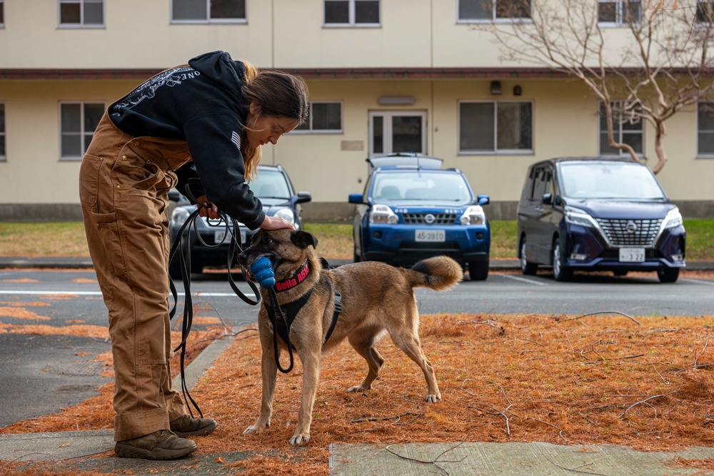 Bilateral MWD training