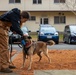 Bilateral MWD training