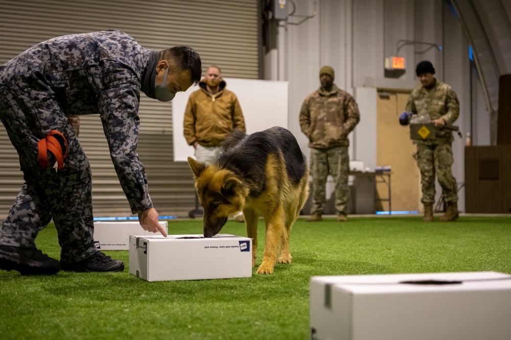 Bilateral MWD training