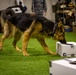 Bilateral MWD training