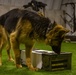 Bilateral MWD training