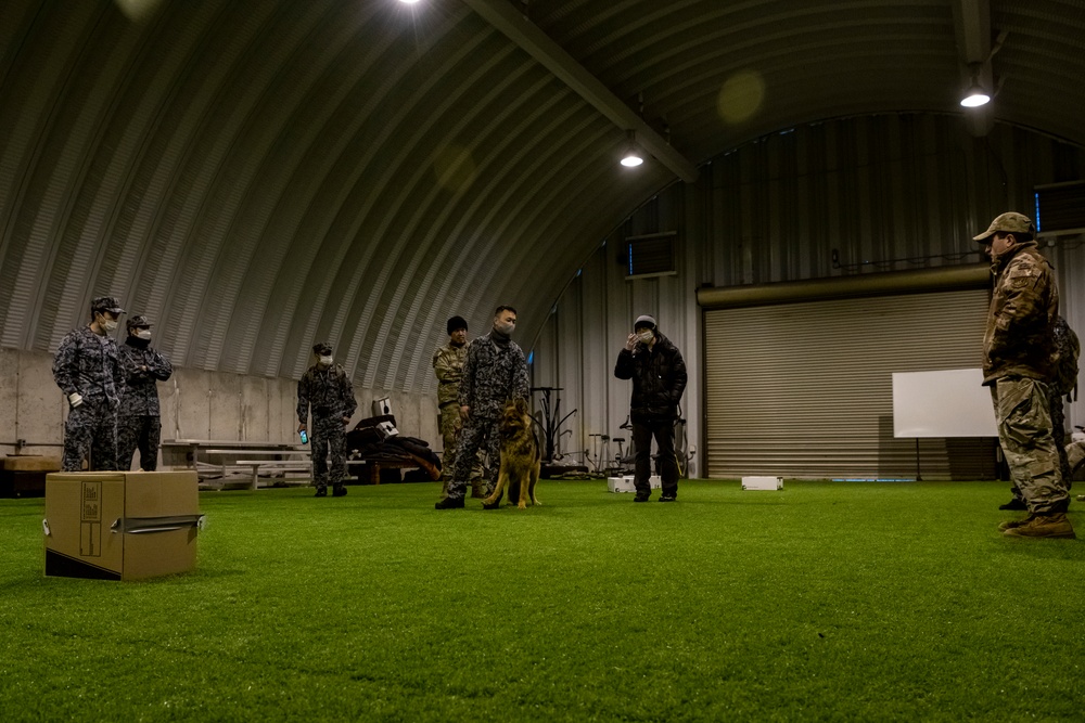 Bilateral MWD training