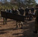 ARTP 22.3 - Med-evac Training