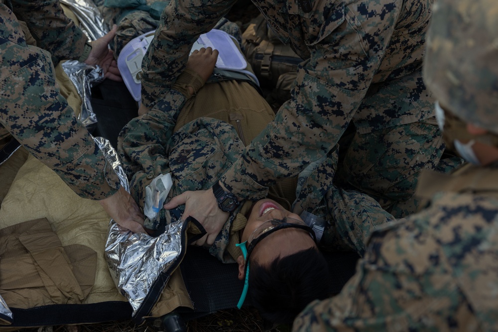 ARTP 22.3 - Med-evac Training