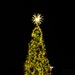 2022 MCB Quantico holiday tree lighting
