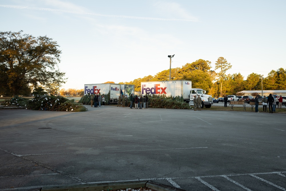 Trees for Troops spread Holiday Cheer on MCB Camp Lejeune