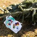 Trees for Troops spread Holiday Cheer on MCB Camp Lejeune