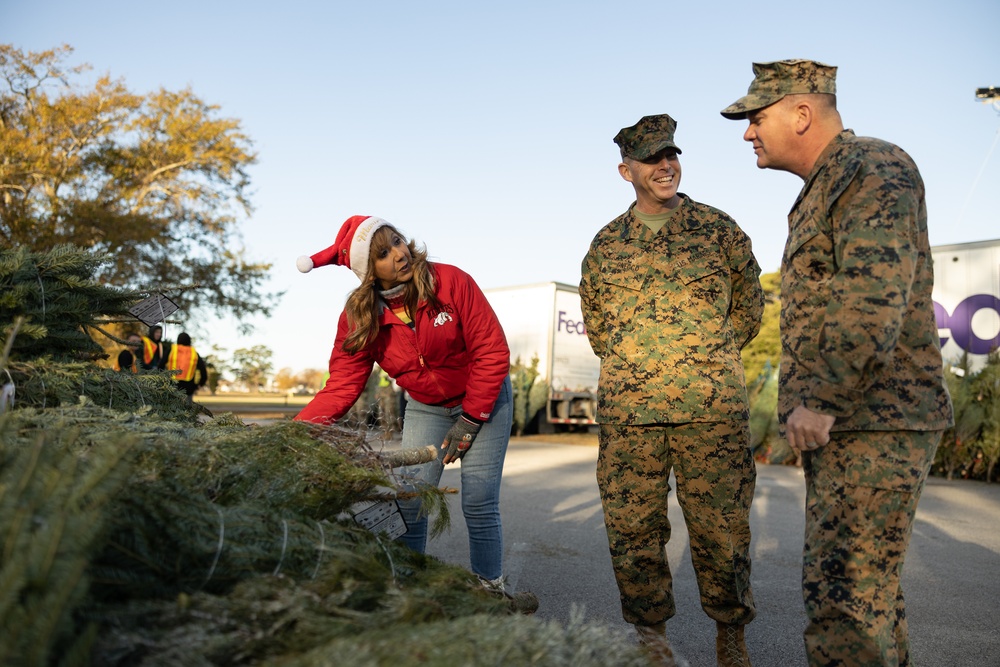 Trees for Troops spread Holiday Cheer on MCB Camp Lejeune