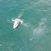 Coast Guard, Florida Department of Environmental Protection monitor periodic oil discharge from Liberty Ship Thomas Heyward