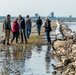 Cedar Point Causeway Wetland Project