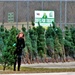 Dozens of Christmas trees donated to Fort McCoy troops during 2022 Trees for Troops event