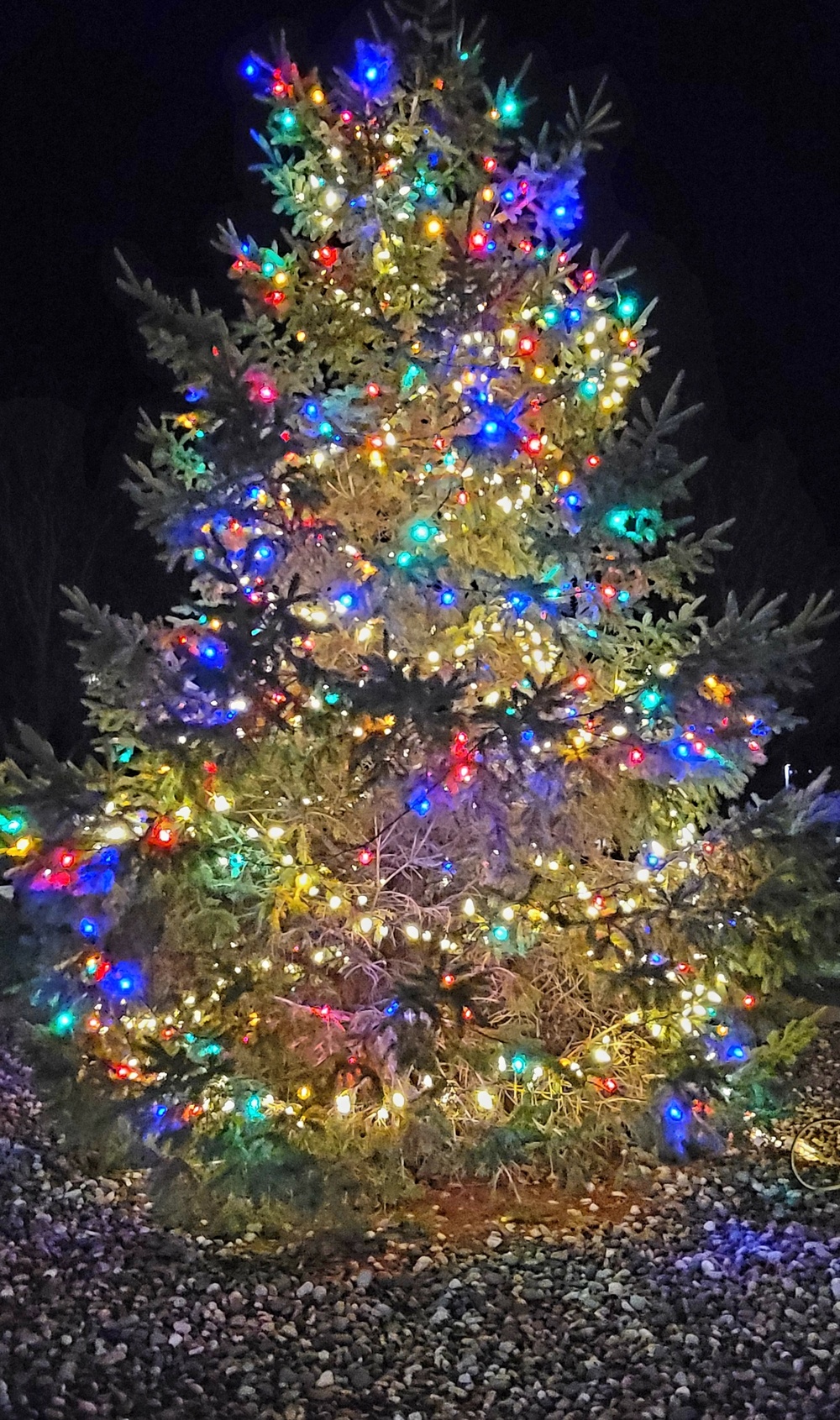 Fort McCoy holds 2022 Christmas Tree Lighting Event