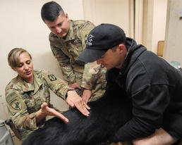 Joint Task Force Med 374 provides Care to MWD